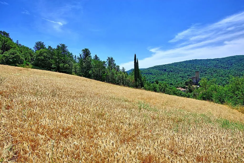Villa Picchio By Posarellivillas Volterra 0*,  Italy